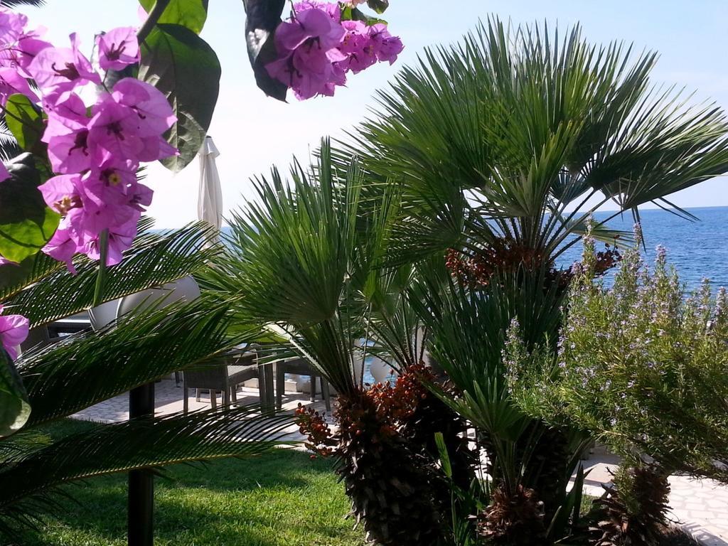 Mare Mar * Sutomore