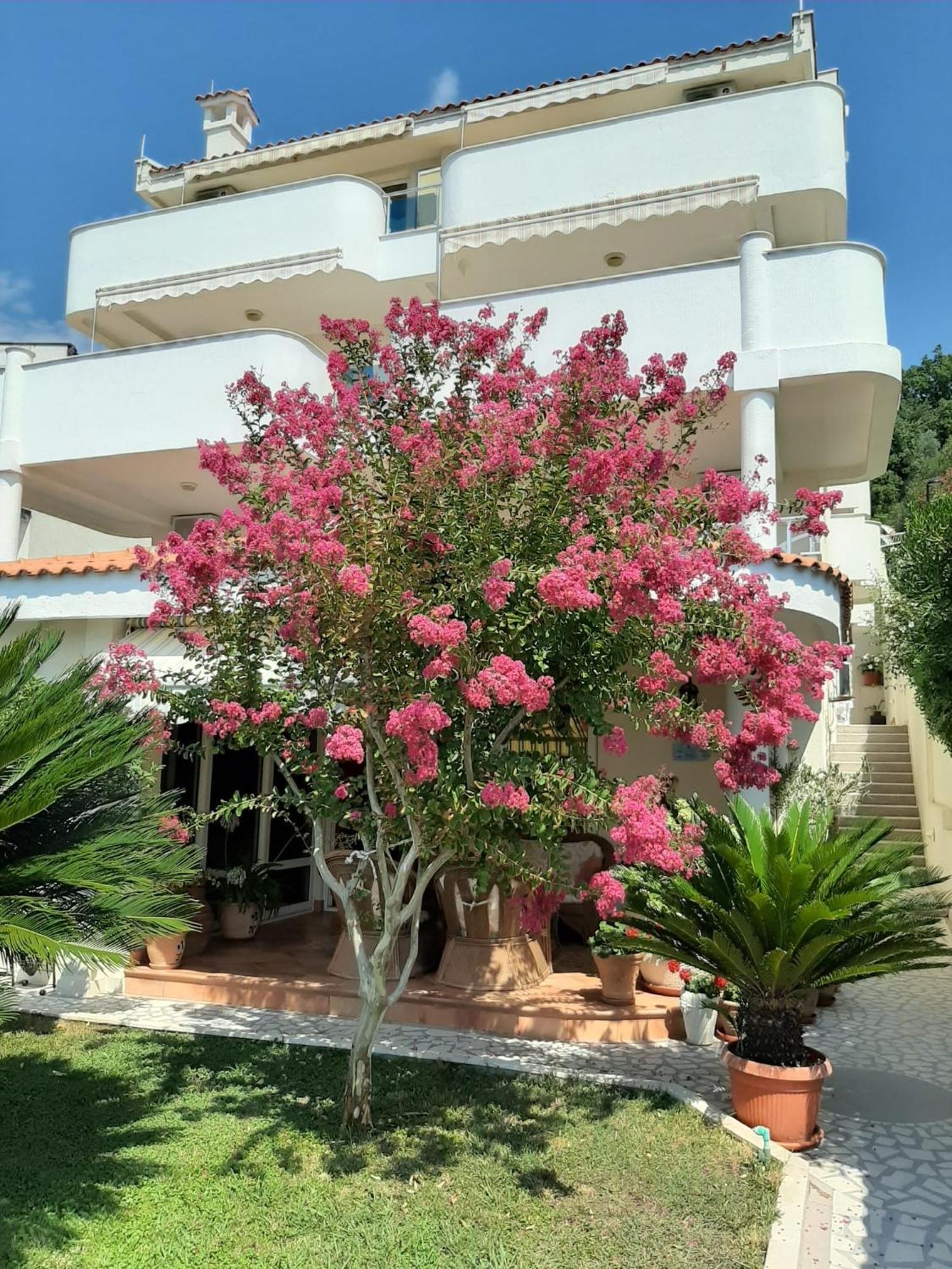 Apartment Mare Mar *